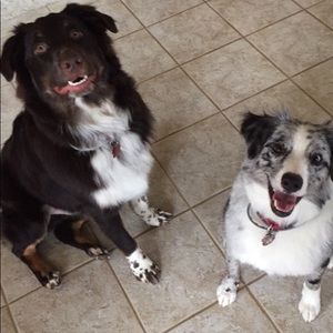 Meet your Posher, Amber